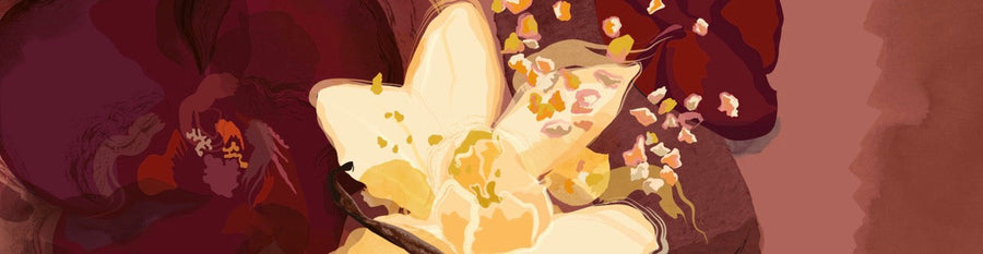 Anaïs Vielfaure, l'aquarelle en guise de douceur