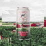 Les Granges du Ranch - Double NEIPA DDH - Hand-Selected Single Hop Series - Citra - Houblon issu des fermes : Carpenter Ranches & Oasis Farms - 44cL