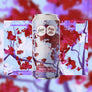 Sur un Nuage Rose - Pastry Sour - Goyave, Framboise, Vanille - 44cL